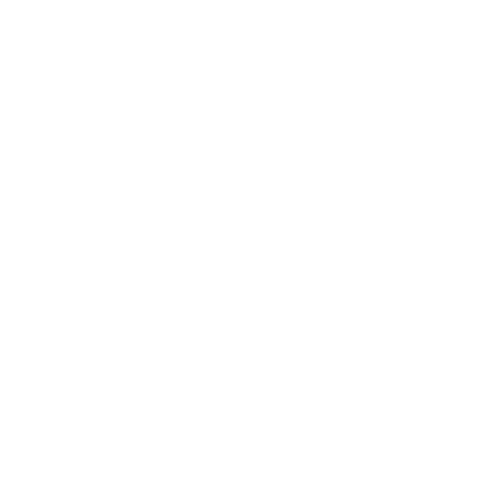 Rainer Creates